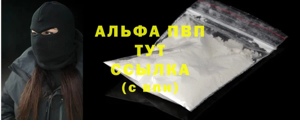спиды Новозыбков