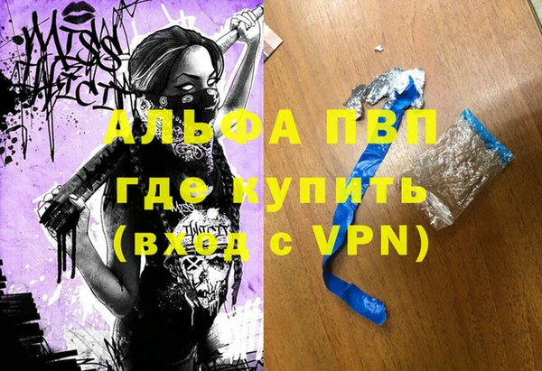 сатива Новокубанск
